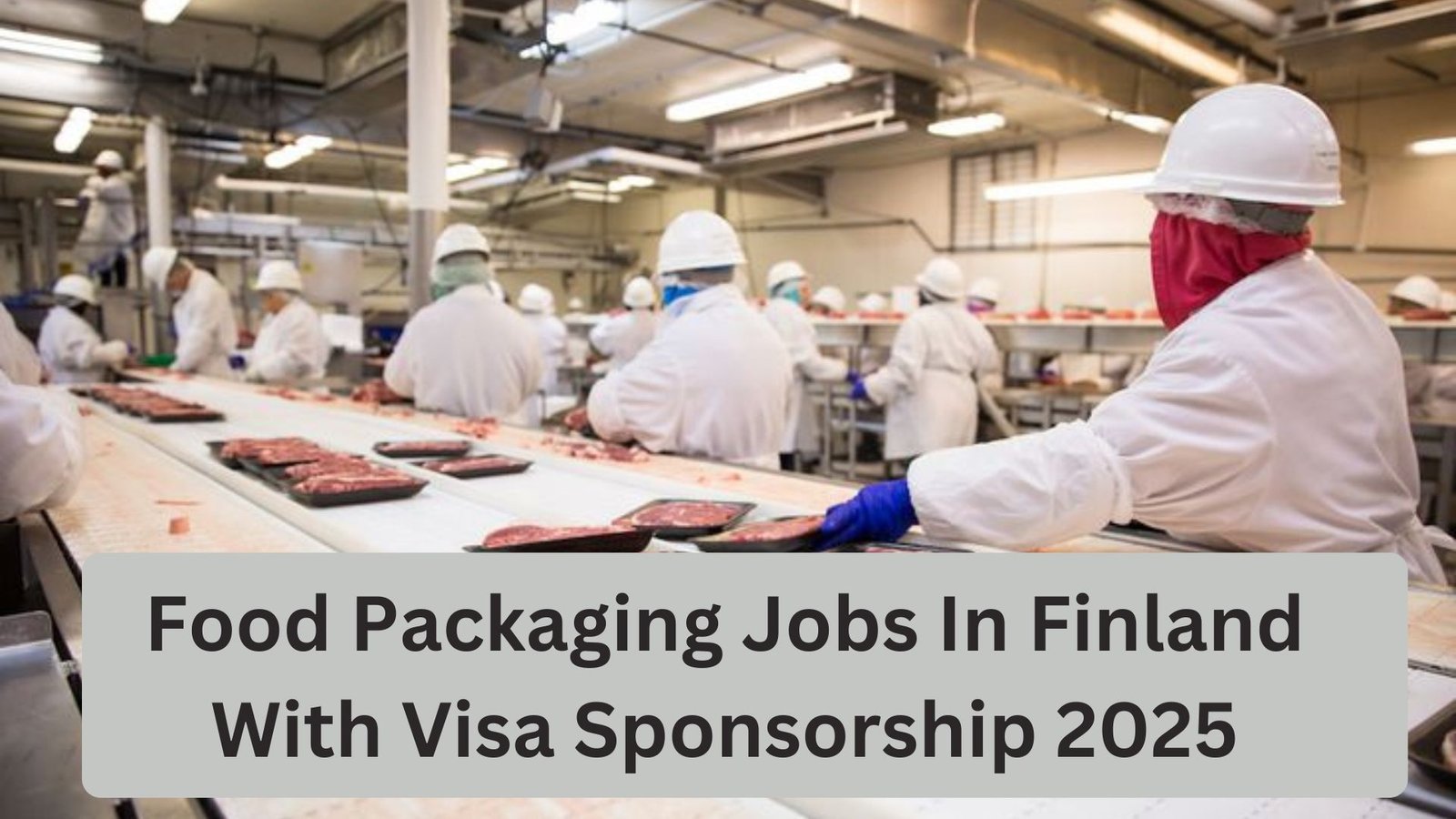 Food Packaging Jobs in Finland With Sponsored Visas 2025
