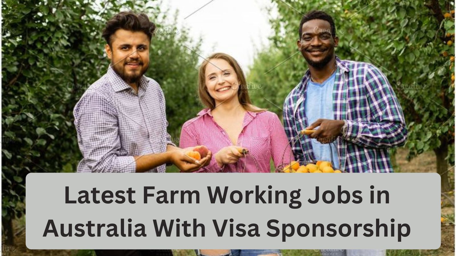 Latest Farm Working Jobs in Australia With Visa Sponsorship