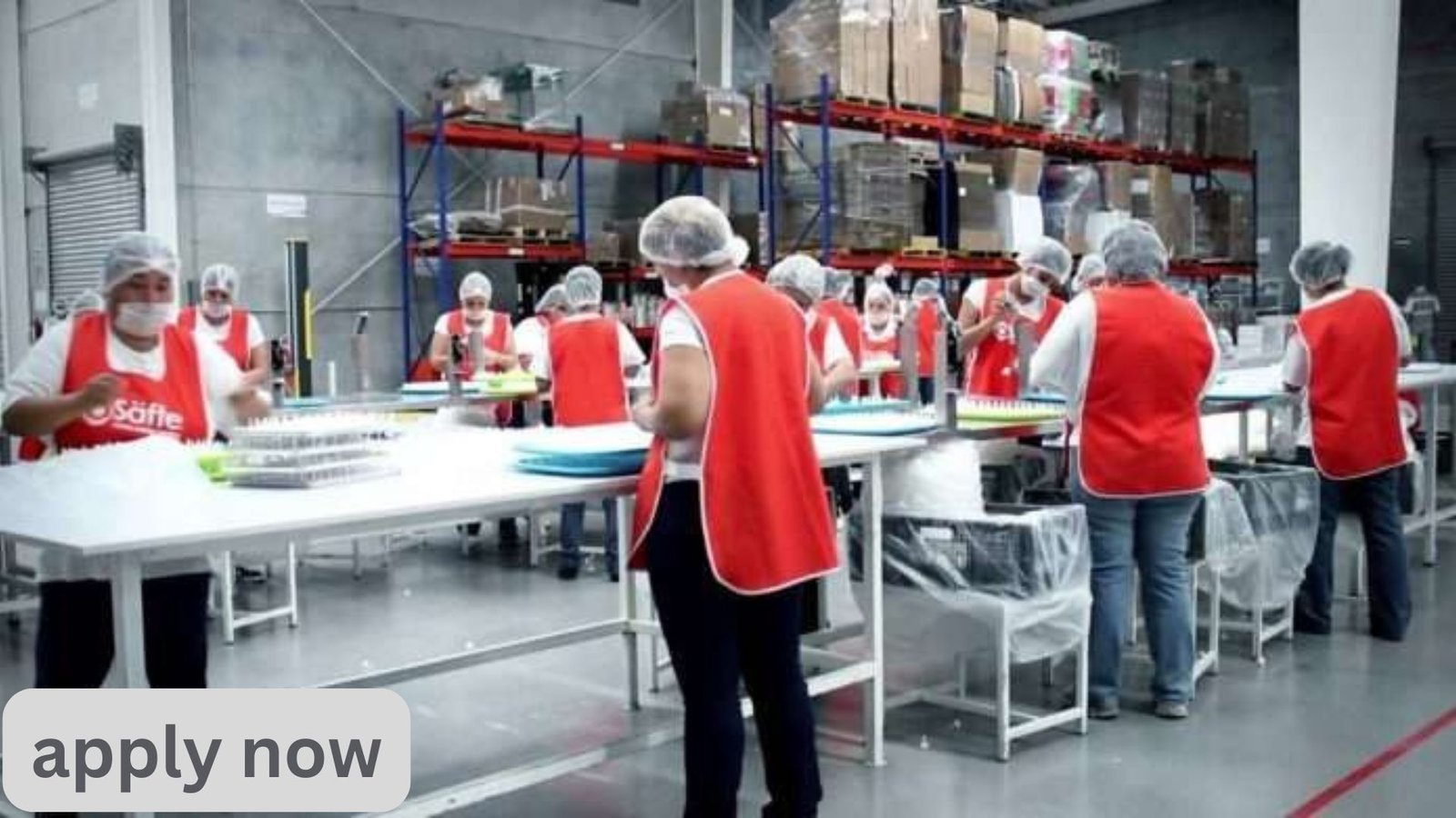 work-in-denmark-factory-jobs-for-beginners-how-to-apply